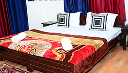Abodes Guest House - Basic Room-2